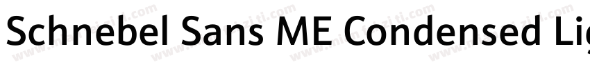Schnebel Sans ME Condensed Light字体转换